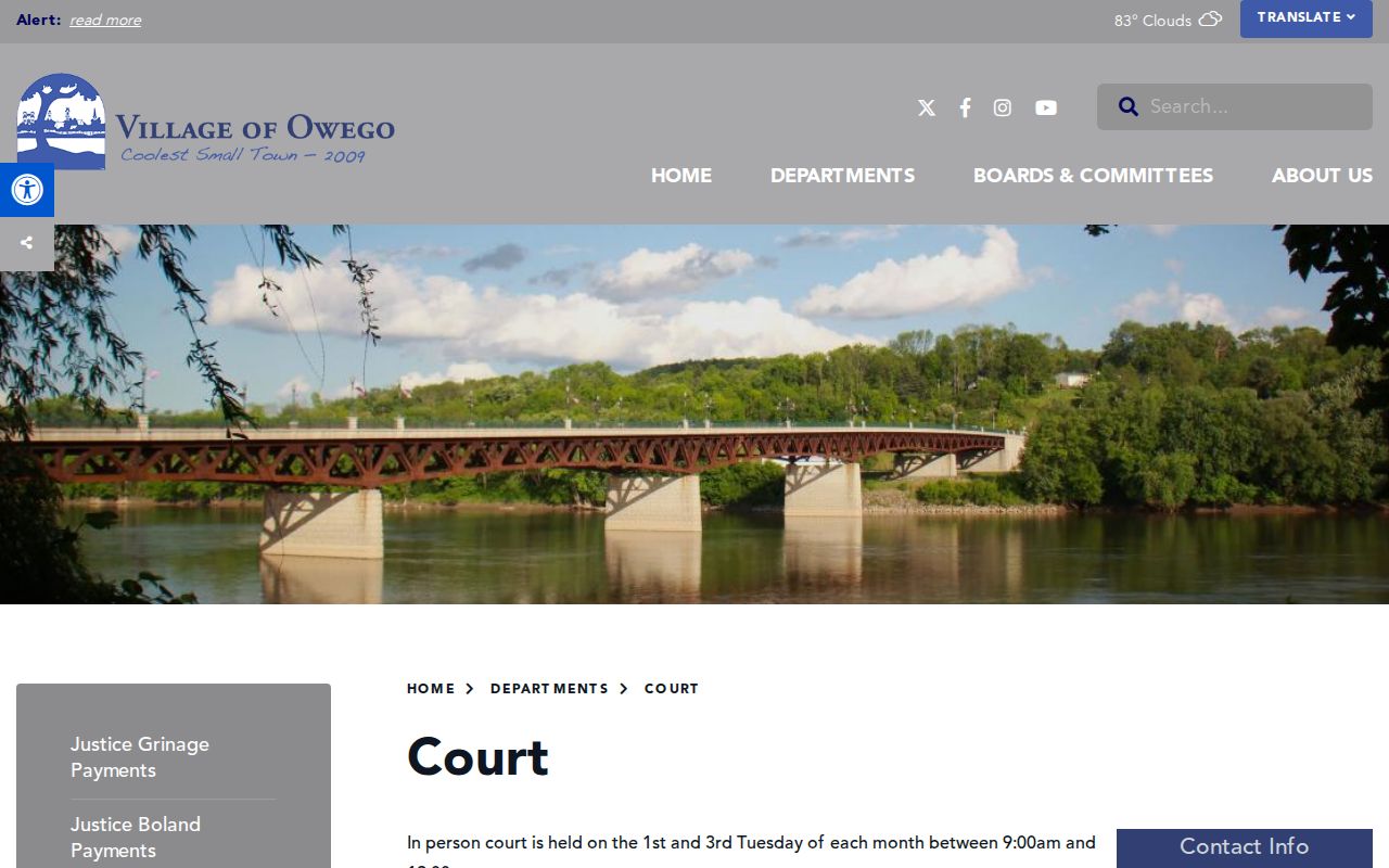 Owego Village Court criminal case record details